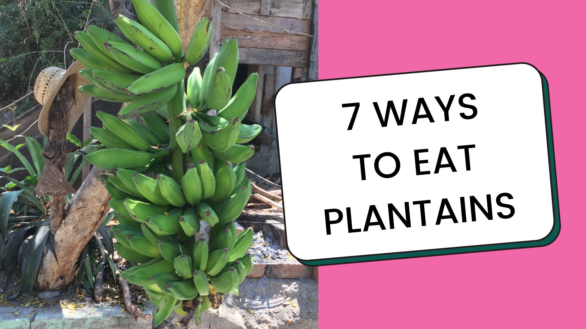 7 Ways to Eat Plantains