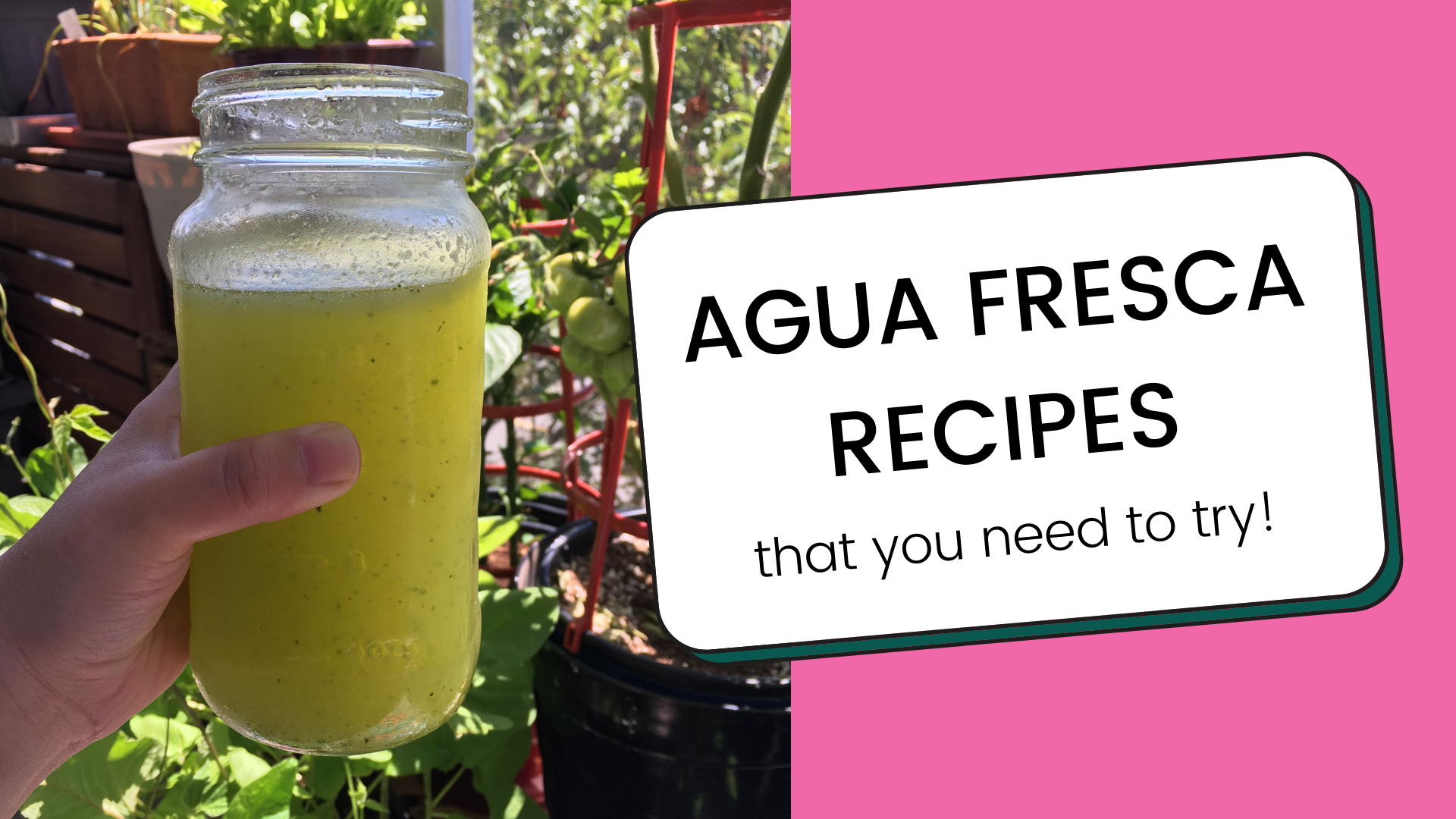 Agua Fresca Recipes to Keep You Cool This Summer